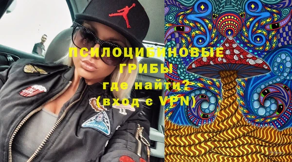 спайс Богородск