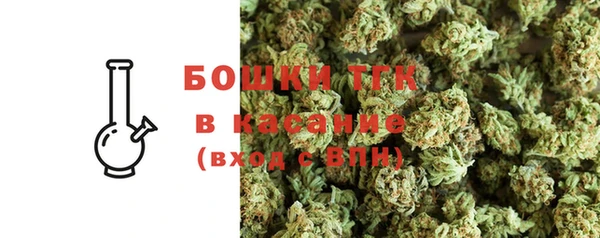 ECSTASY Бородино