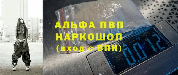 ECSTASY Бородино