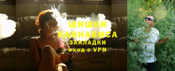 ECSTASY Бородино
